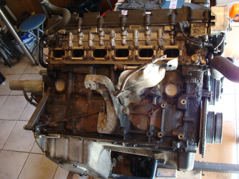 img-438523-3-230437rfectionS50019.jpg