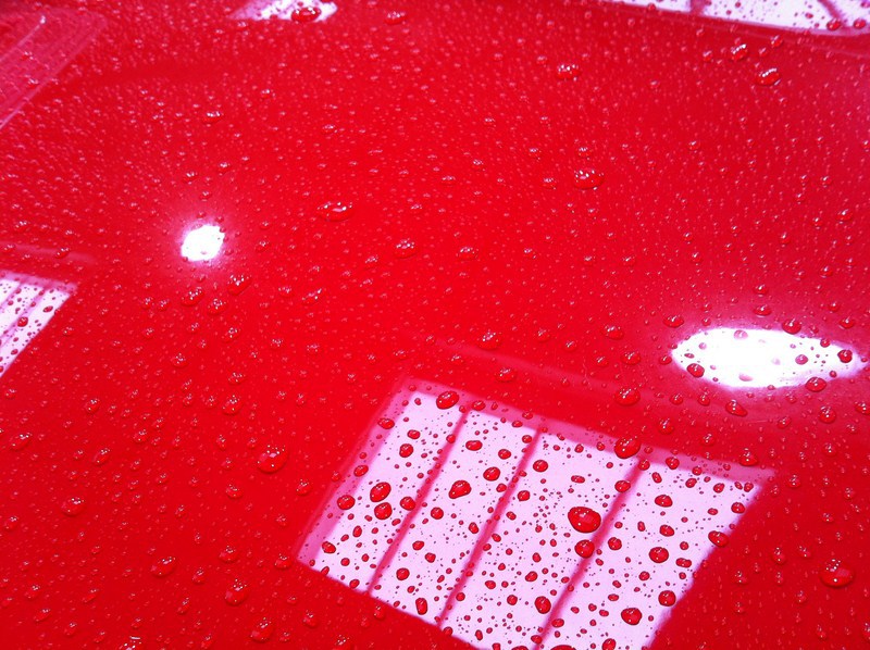 img-439275-5-125369IMG0854.jpg