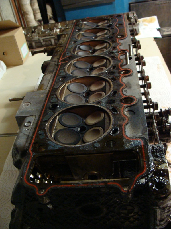 img-441002-21-652276rfectionS50051.jpg