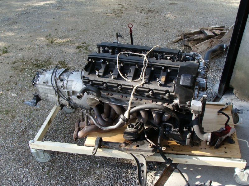 img-441002-3-219303rfectionS50010.jpg