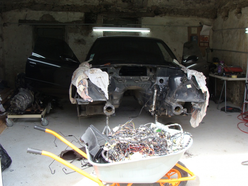 img-441002-5-419409rfectionS50003.jpg