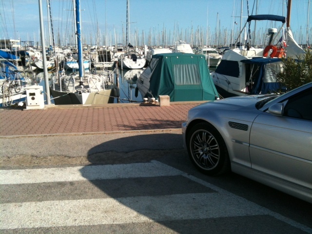 img-454329-8-image1svd.jpg