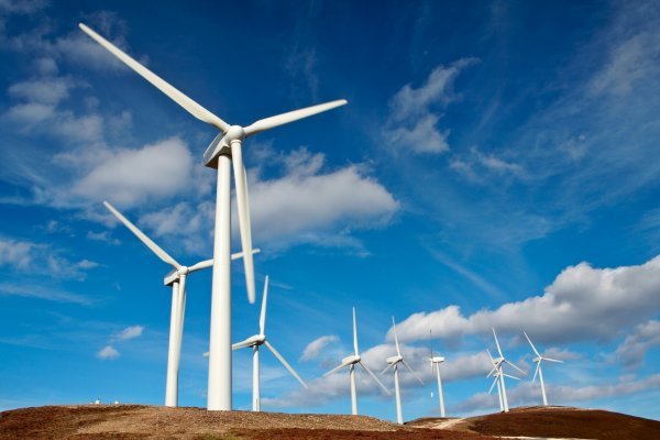 img-455030-1-energie_champ_eoliennes.jpg