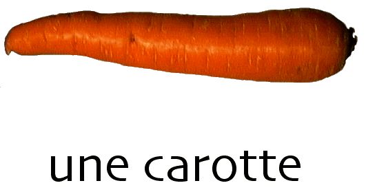 img-461339-1-carotte.jpg
