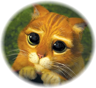 img-494220-1-Chat_potte4.png