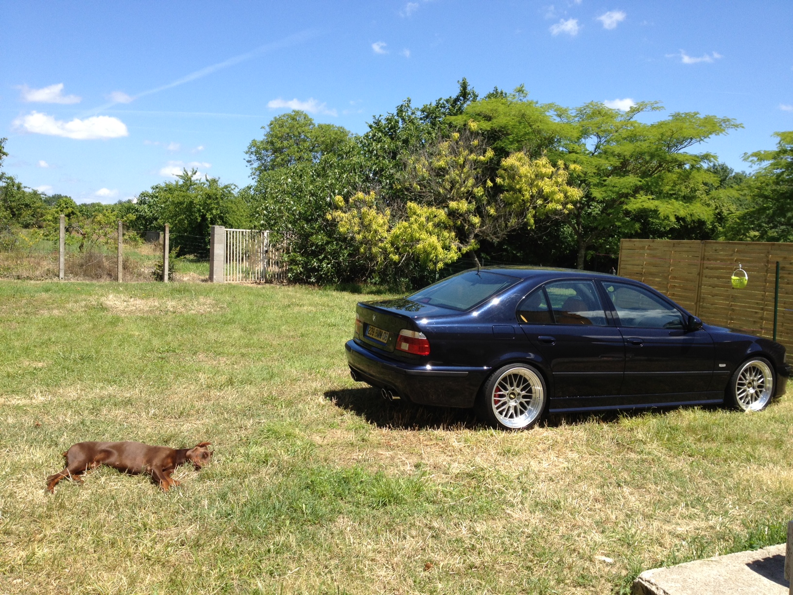 811744photo7.jpg