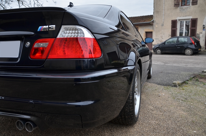 dsc6295f.jpg