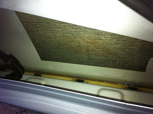 img1061nv.jpg