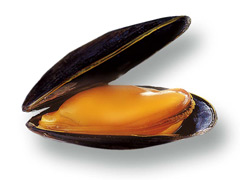 moulebouchot.jpg