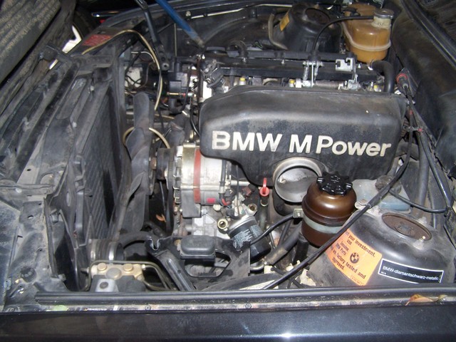 1002911p.jpg