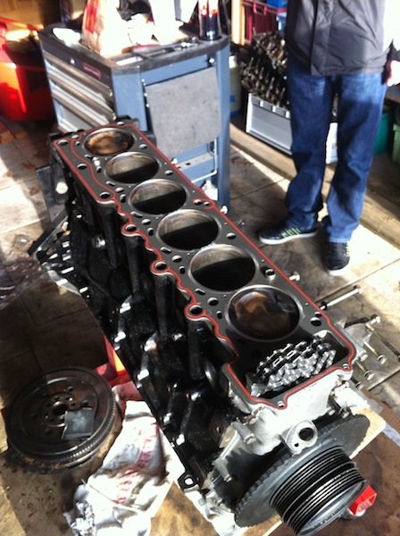 img1809j.jpg