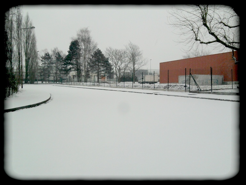 img-524353-1-2013-023.jpg