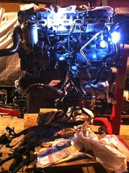 img1928bu.jpg