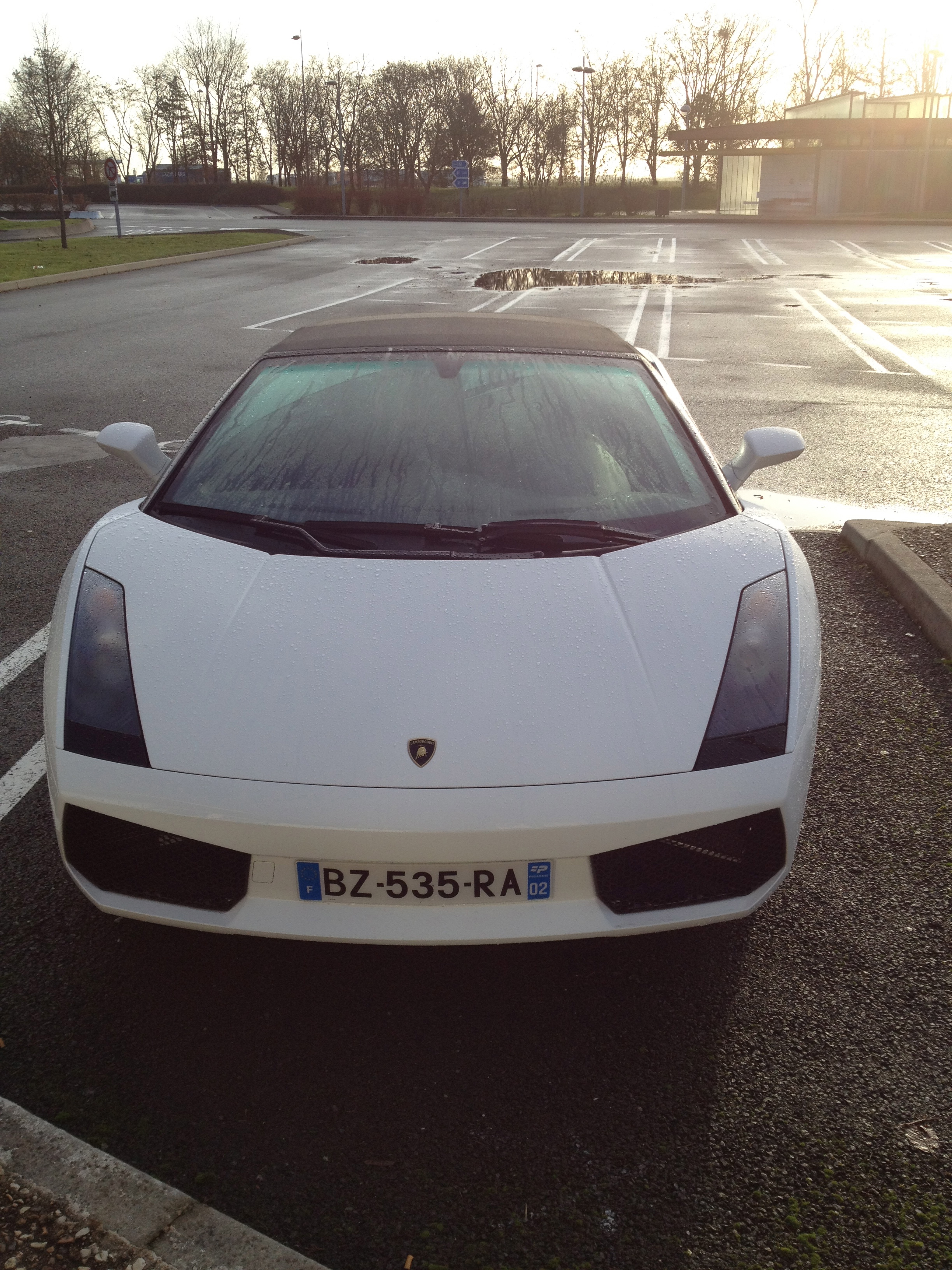 img1876gs.jpg