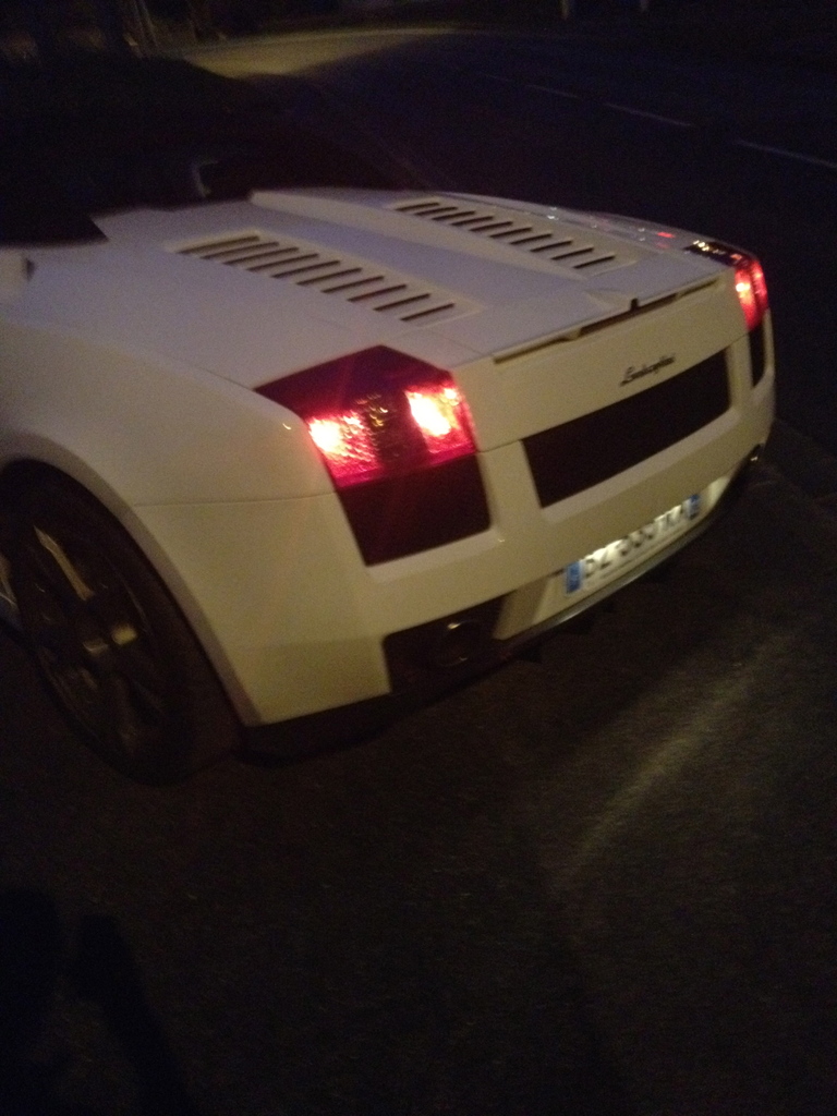 img1880q.jpg