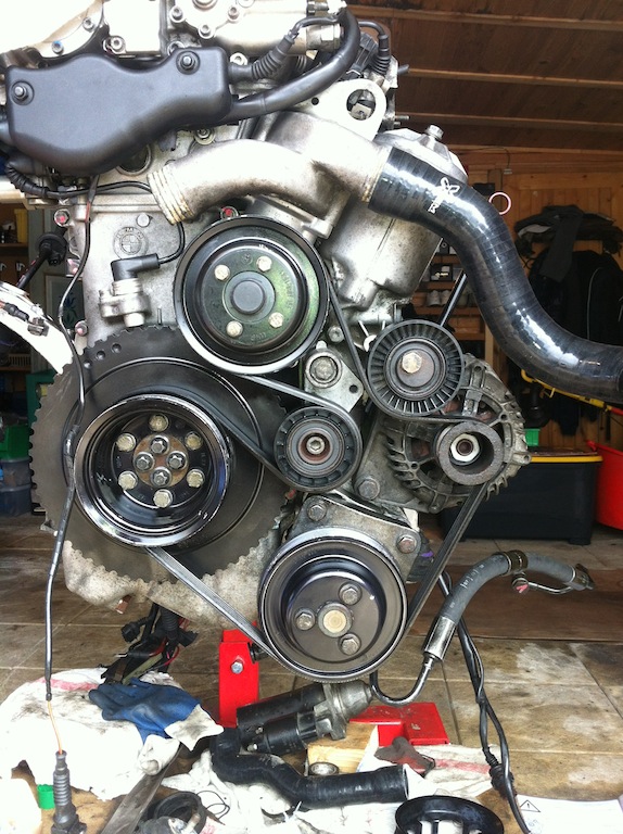 img1951z.jpg
