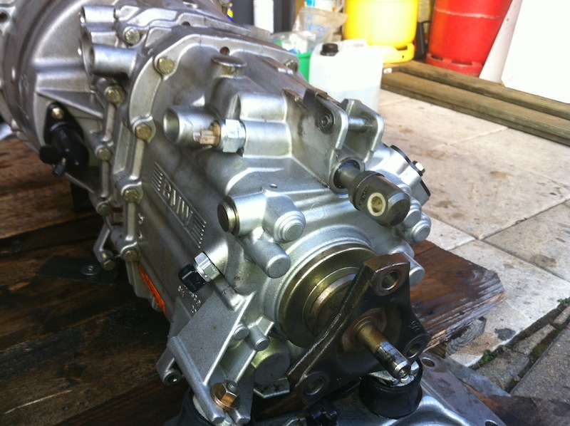 img1953g.jpg