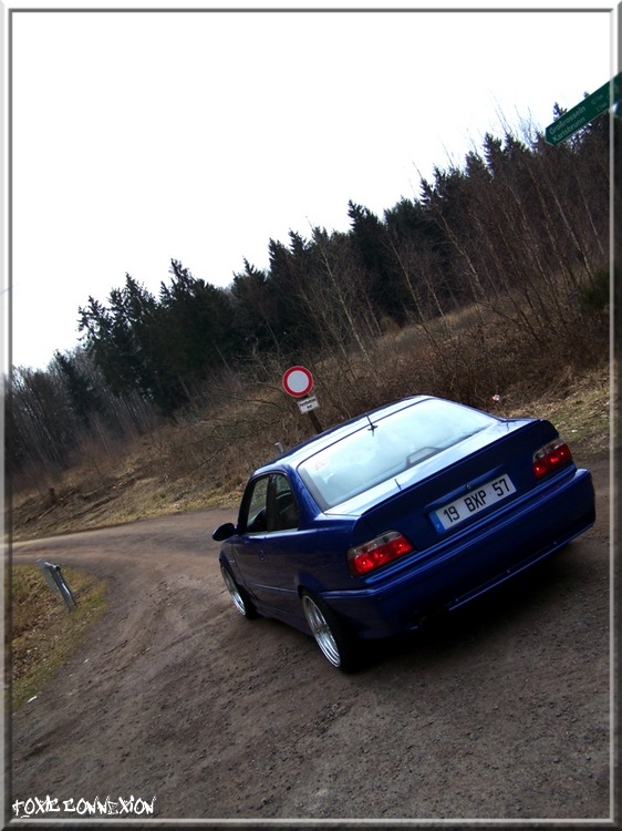 tof57-3693883.jpg