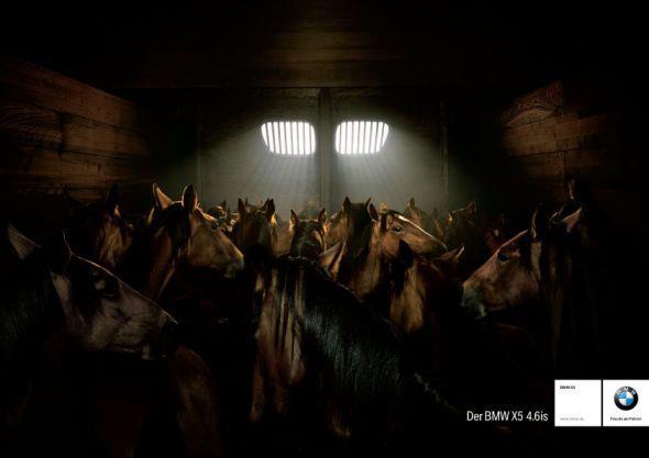 cheval-bmw.jpg