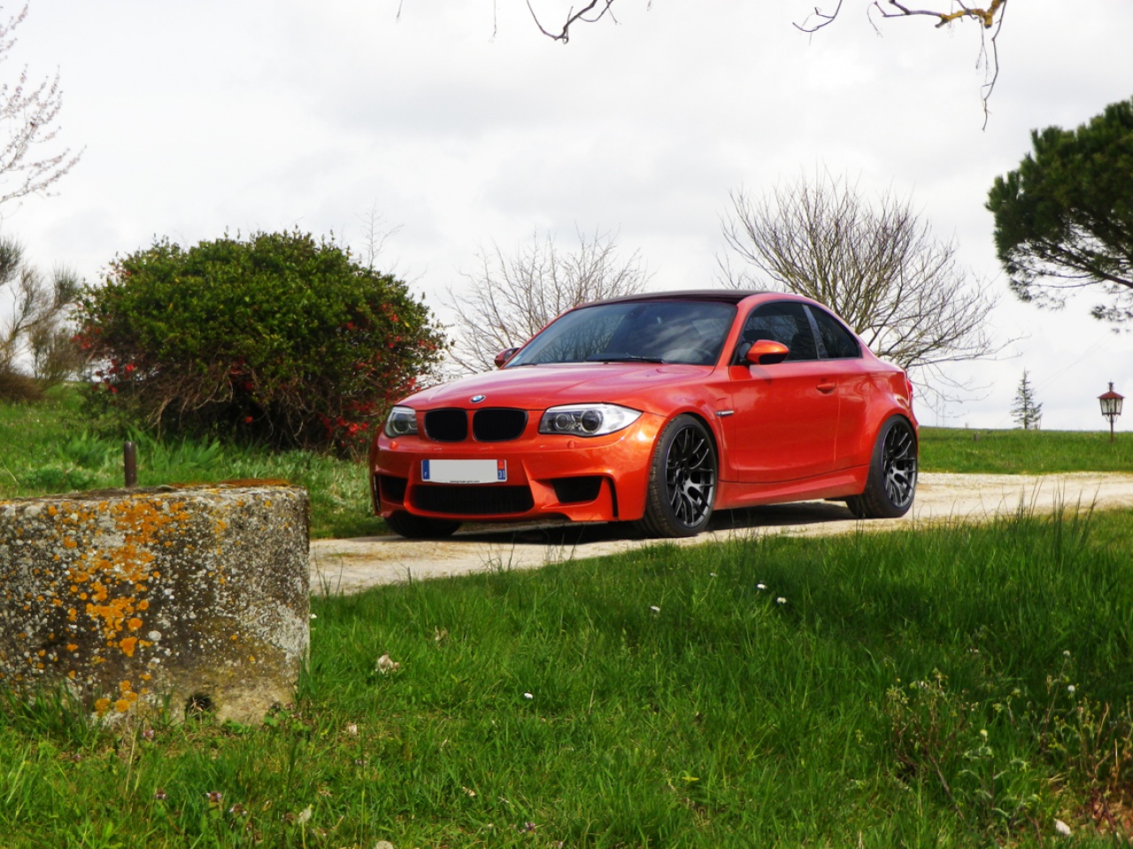 213241IMGP0419GTS.jpg