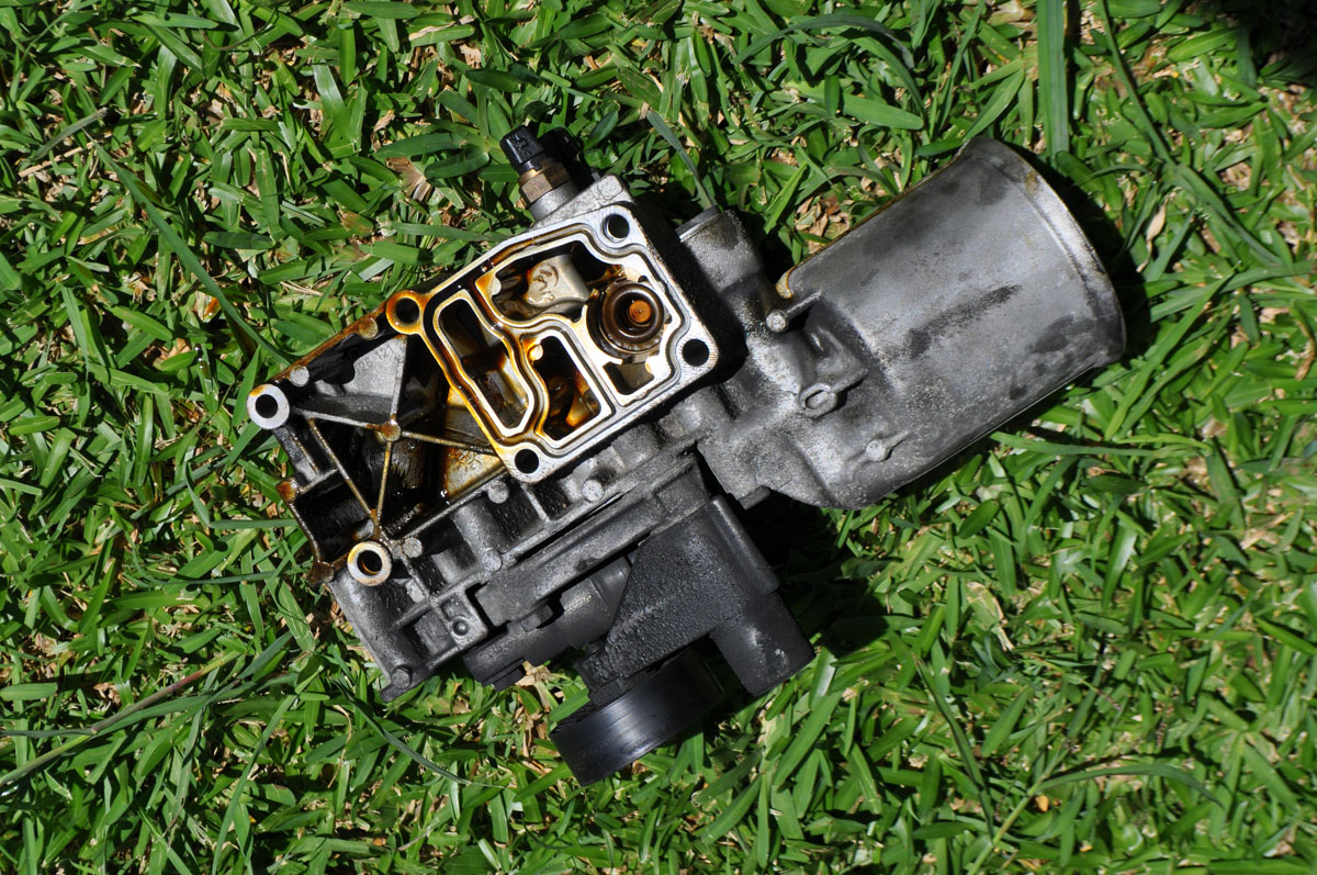 dsc0121jv.jpg
