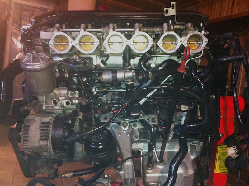 img1982p.jpg