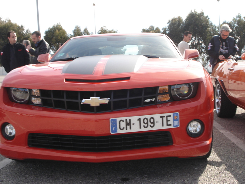 dsc07388m.jpg