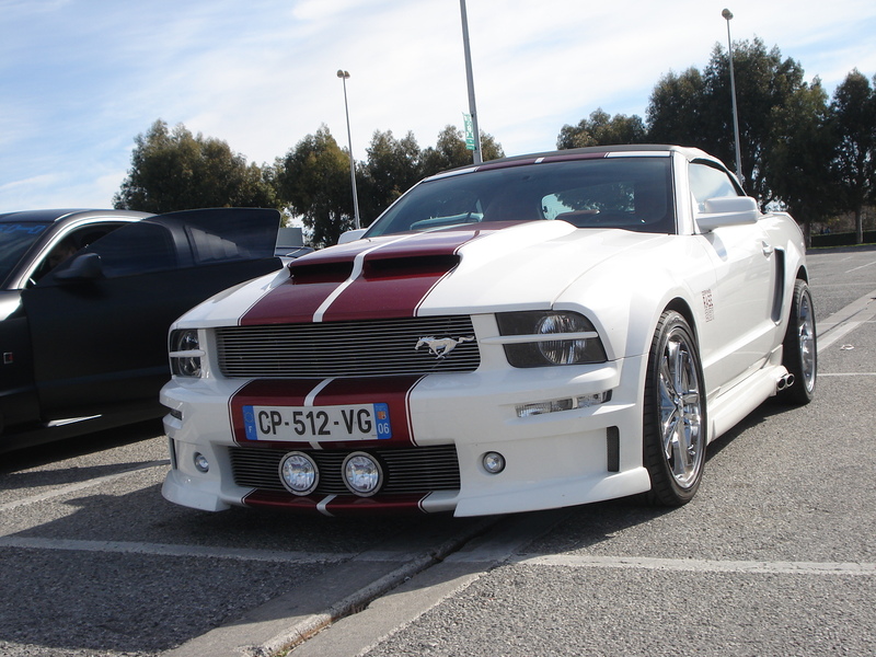 dsc07375w.jpg