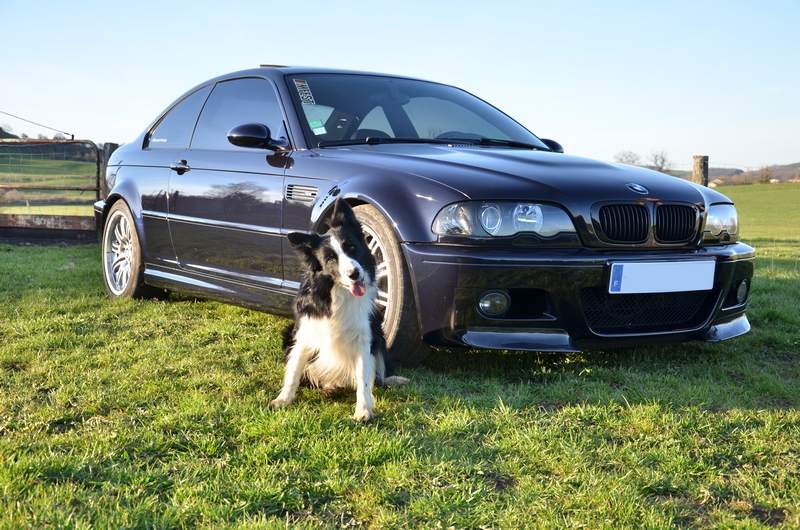 dsc8238j.jpg