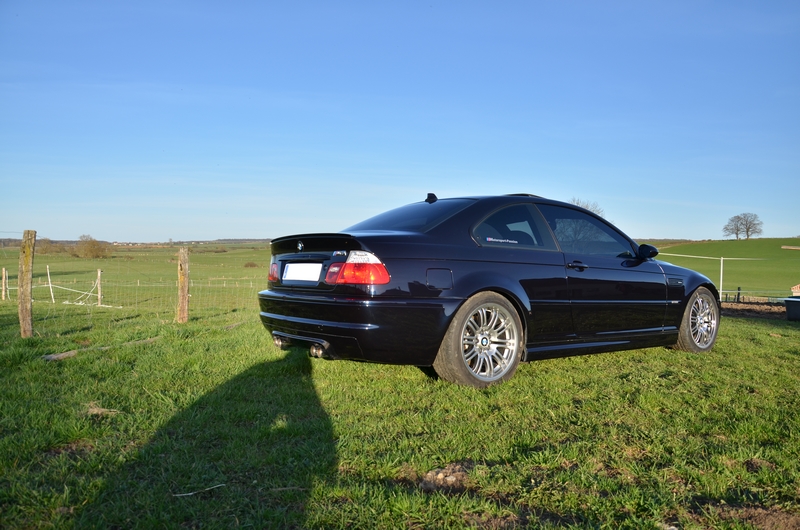 dsc8231h.jpg