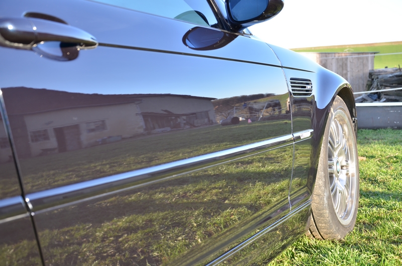 dsc8233m.jpg