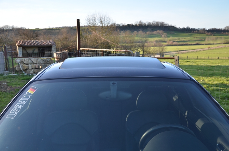 dsc8237a.jpg