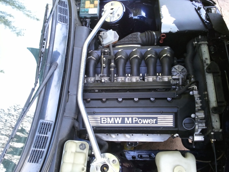 2010-111.jpg