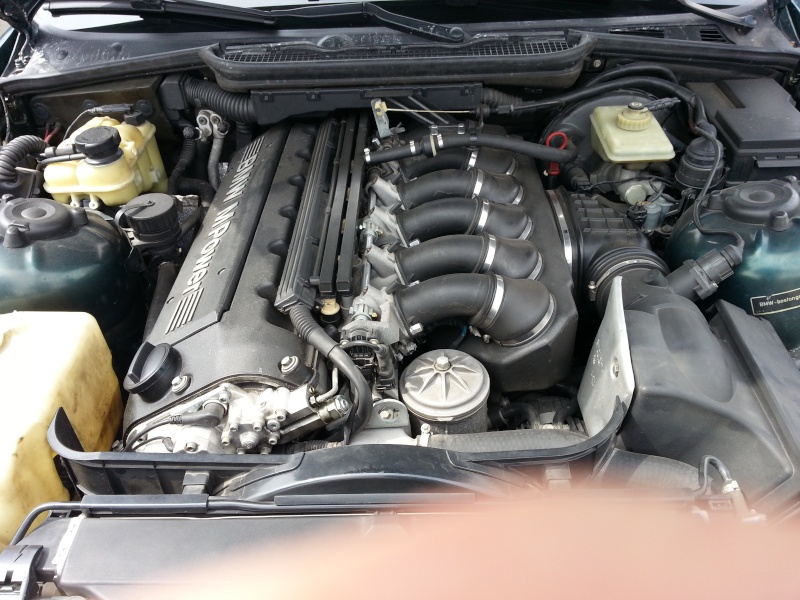 20130419.jpg
