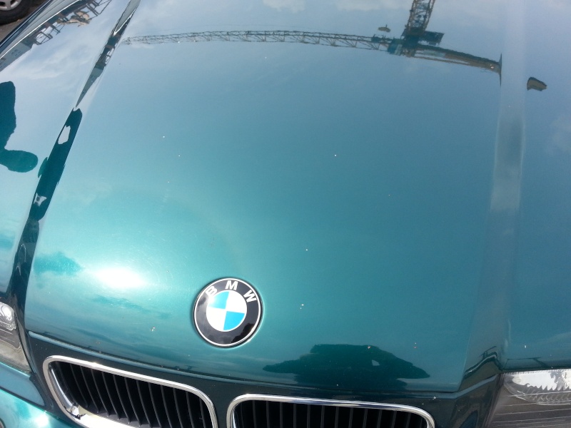 20130412.jpg