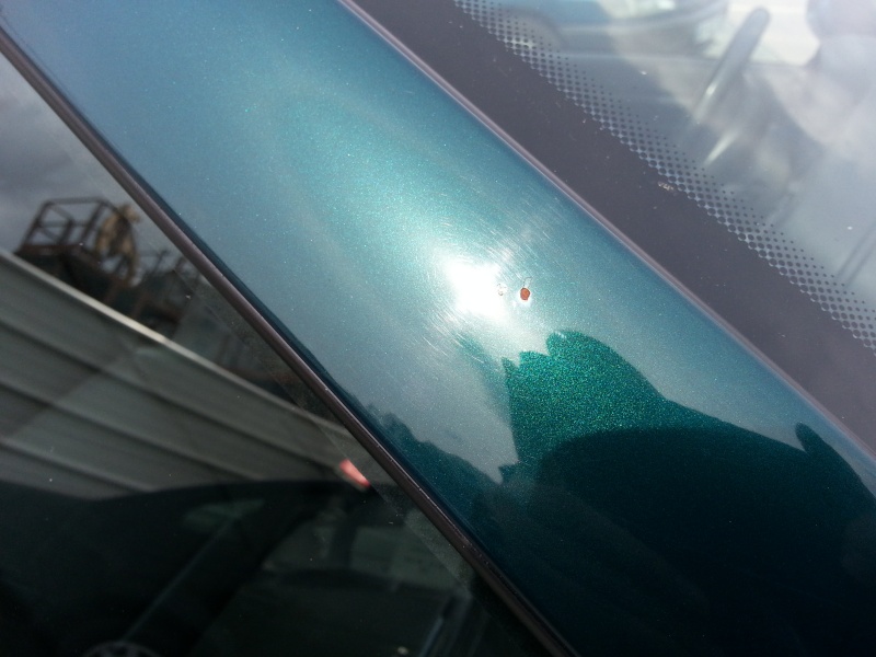 20130413.jpg