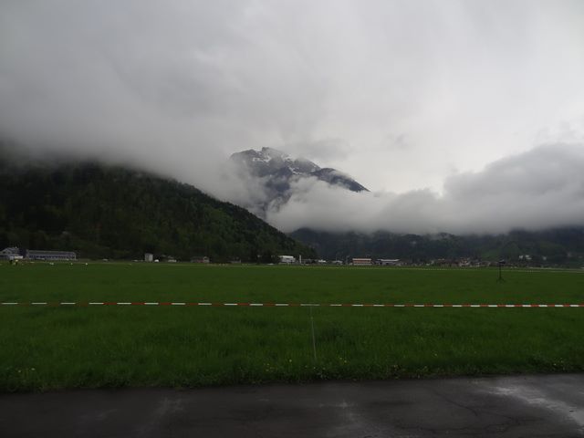 dsc00270lt.jpg