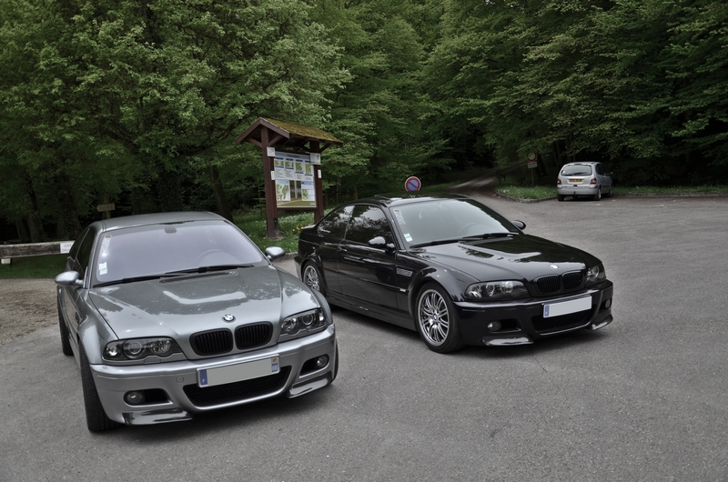 dsc8568r.jpg