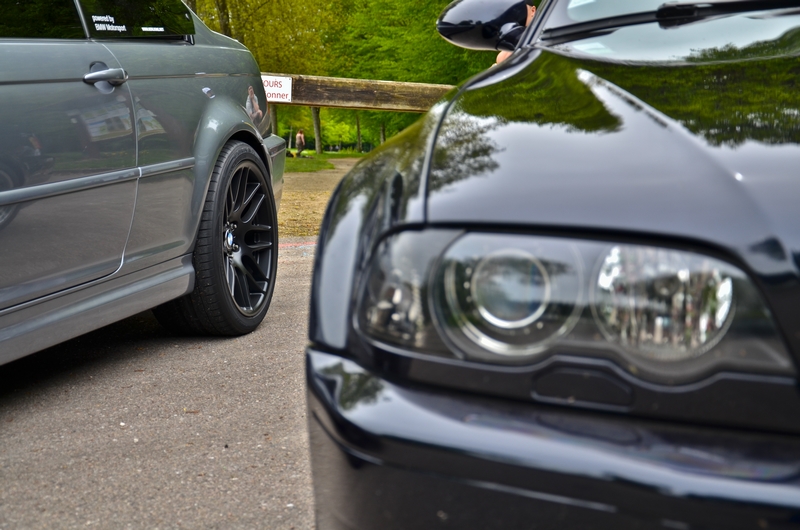 dsc8583d.jpg