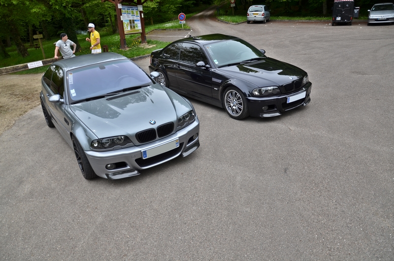 dsc8585y.jpg