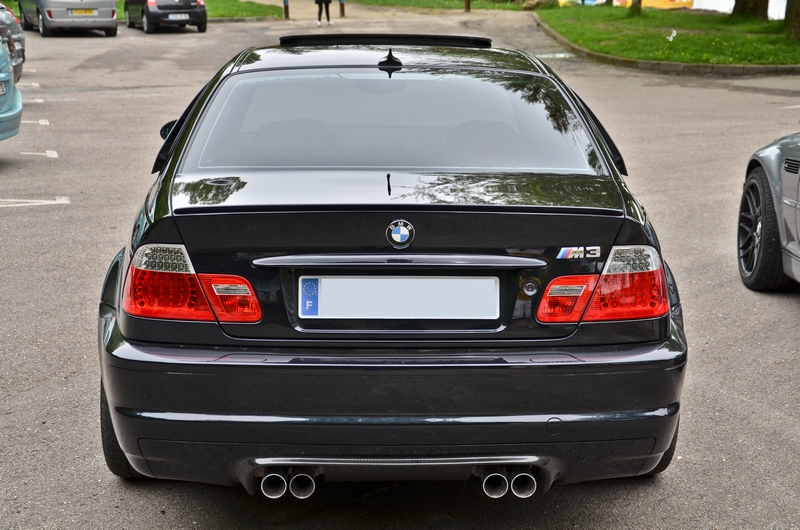 dsc8594i.jpg