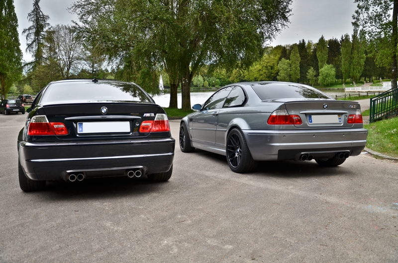 dsc8595l.jpg