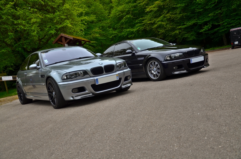 dsc8569p.jpg