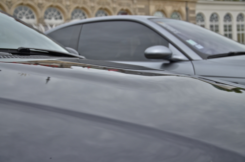 dsc8602z.jpg