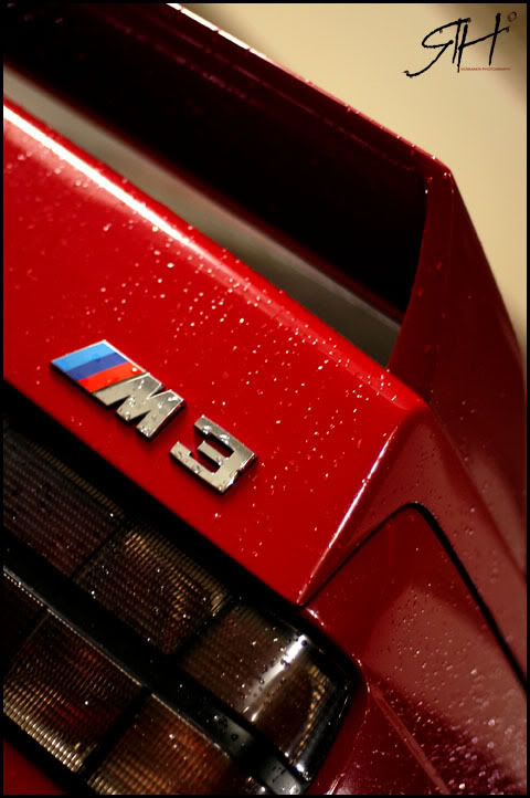 M3-6.jpg