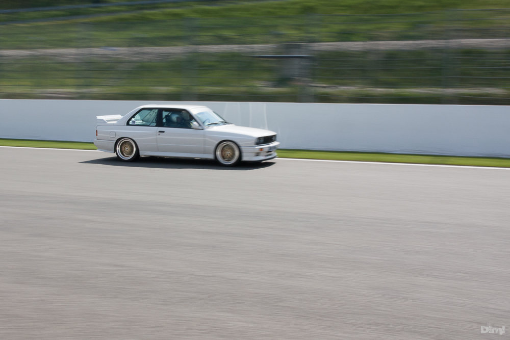 img5569b.jpg