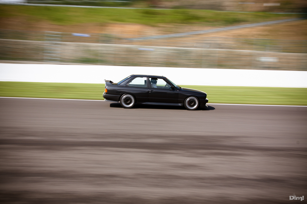 img5155y.jpg