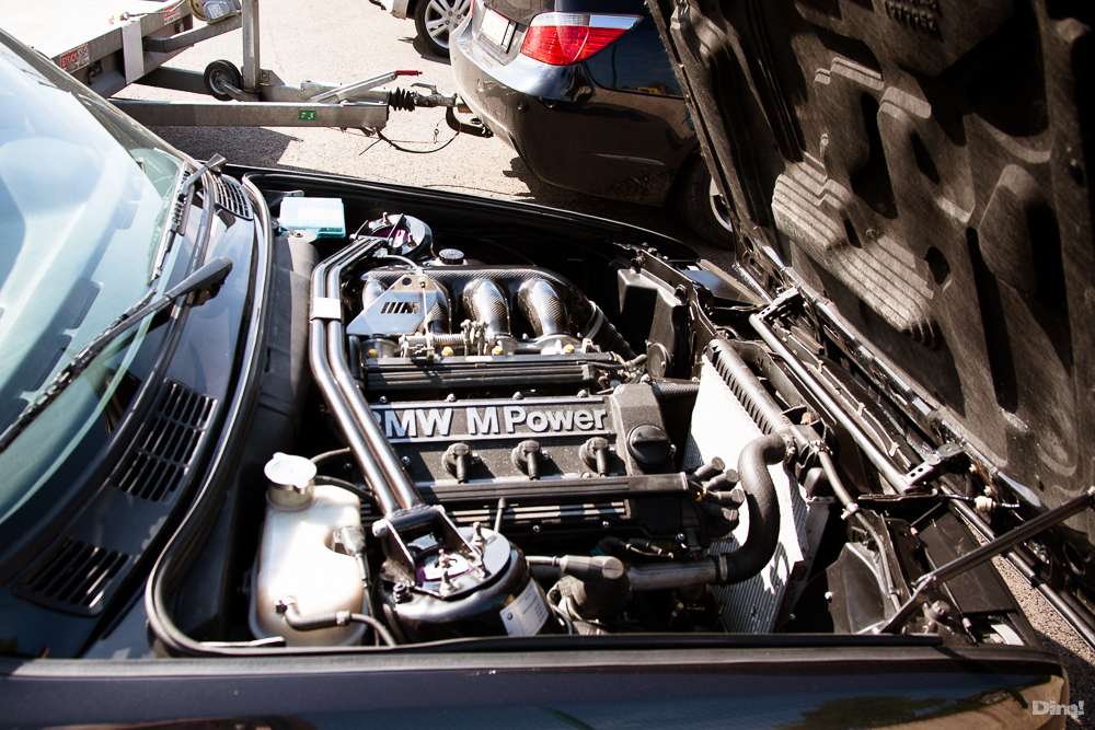 img5130eg.jpg