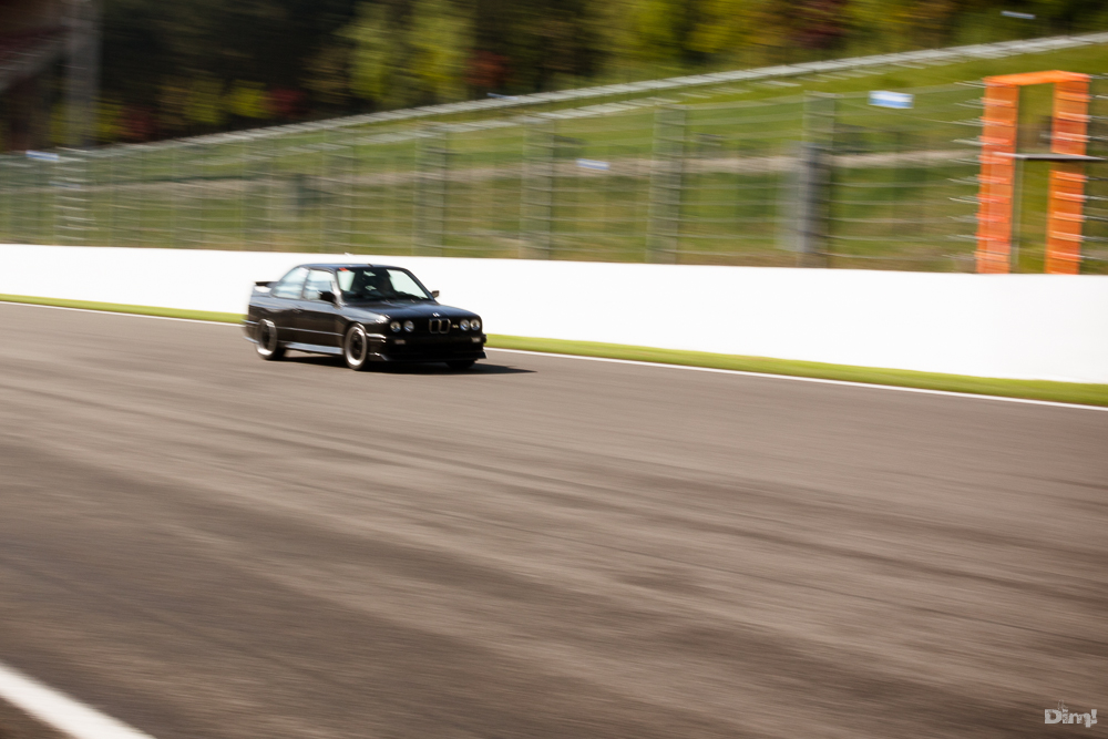 img5146a.jpg