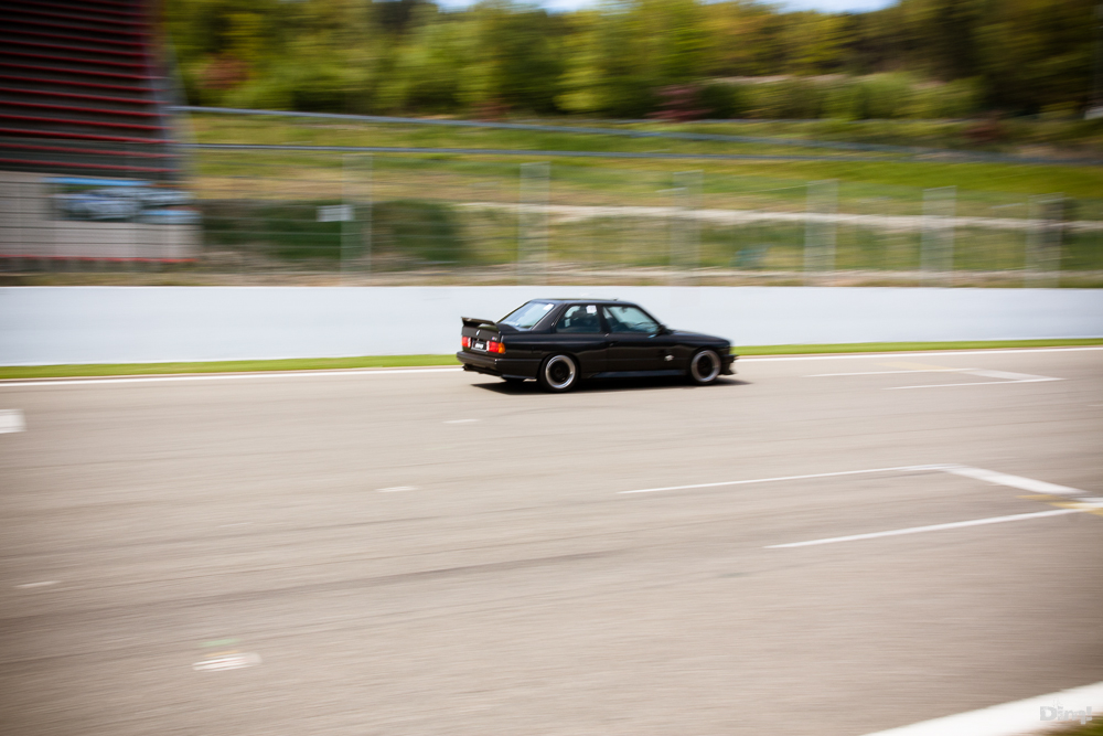 img5347g.jpg
